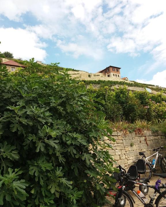 WeinGalerie im Schweigenberg Cafe